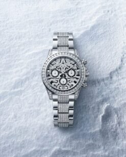 Rolee_x Oyster Perpetual Tiger Silver