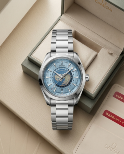 Omegg_a Seamaster Aqua Terra GMT Worldtimer
